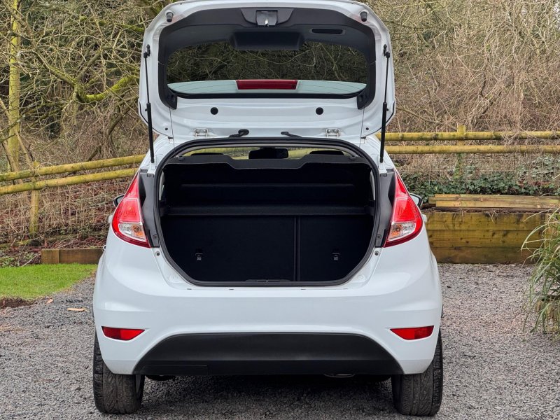 FORD FIESTA 1.0T EcoBoost Titanium Euro 5 (s/s) 5dr 2013